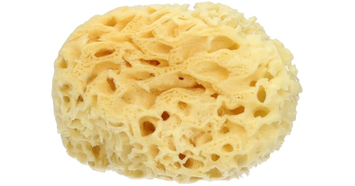 Be a sponge